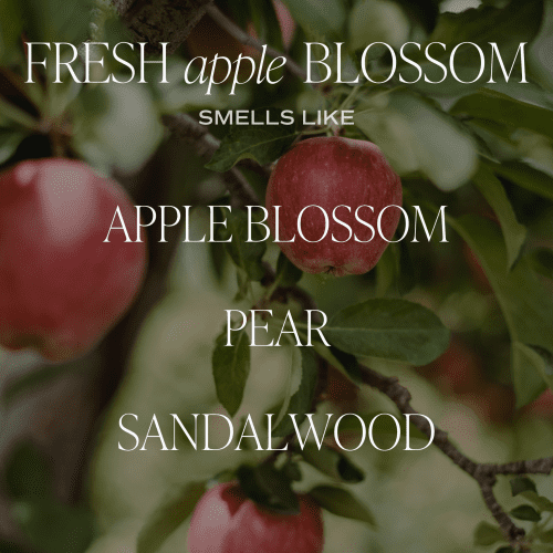 2023 SCENT NOTE FRESHAPPLEBLOSSOM 846056e4 abbb 49ed 95dd 0aee51d128b1