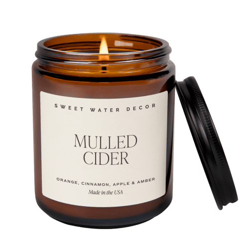 C105A MULLED CIDER 2023 AMBER CANDLE SWEET WATER DECOR WB