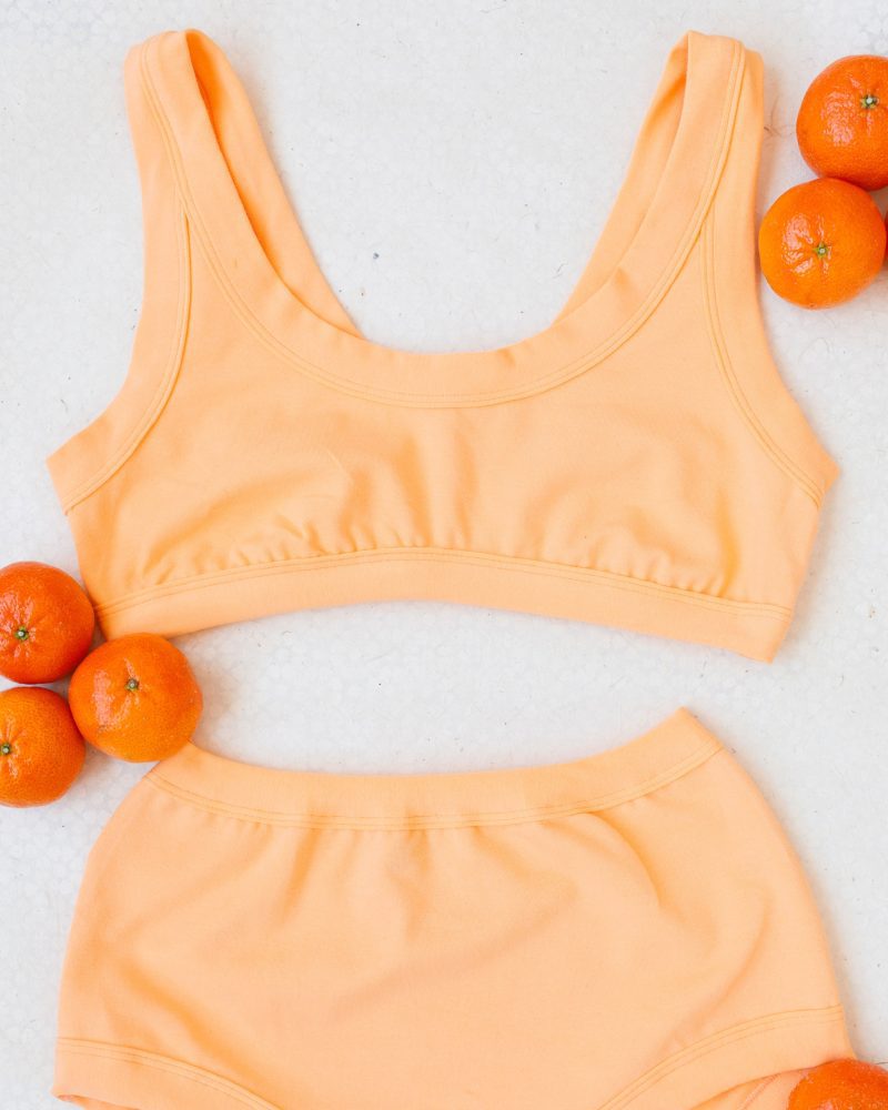 Orange Sherbet Bra 1