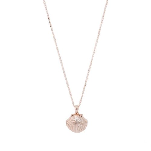 Shell Locket Necklace rose 1W