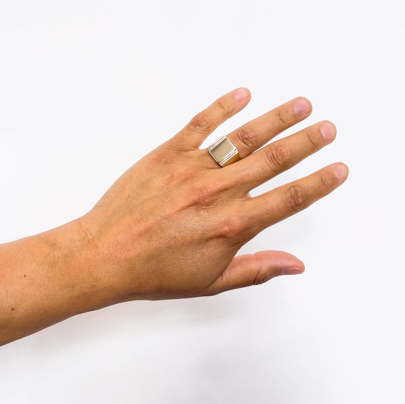 Suscita ring Model