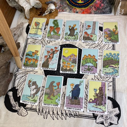 TarotPics112022Cups