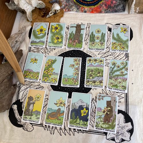 TarotPics112022Pentacles