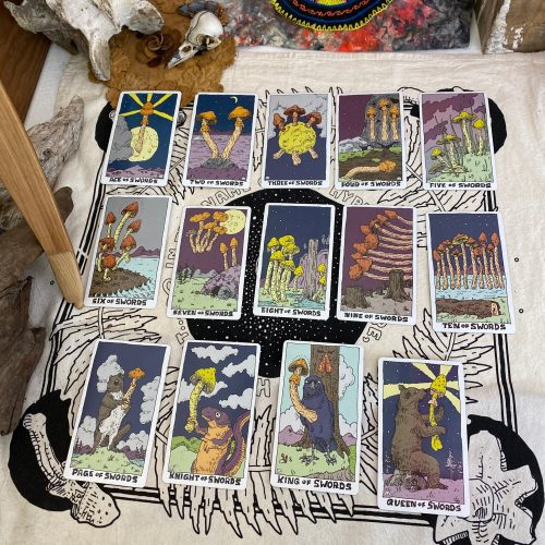 TarotPics112022Swords