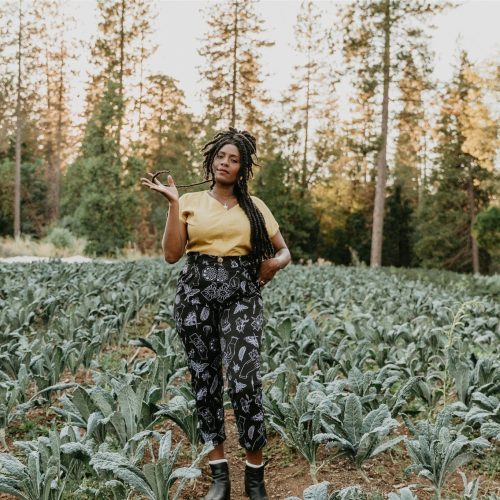 field day top dolman top in mustard linen 42022042173698