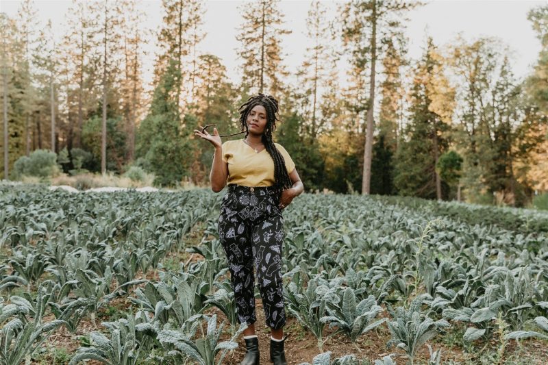 field day top dolman top in mustard linen 42022042173698