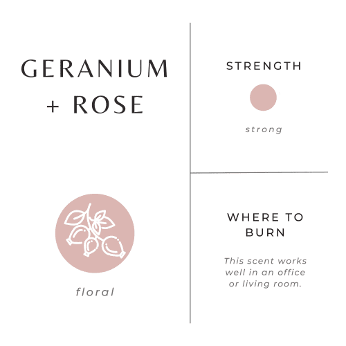 geranium rose scent graphic