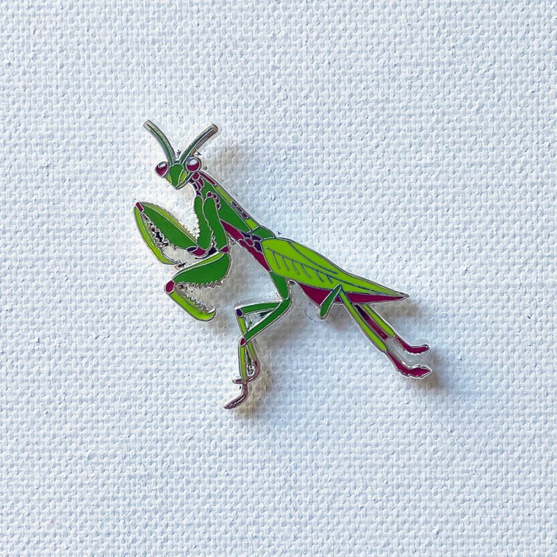 mantis bdf8a4c2 7aa0 4672 be48 c5c655c36e2c