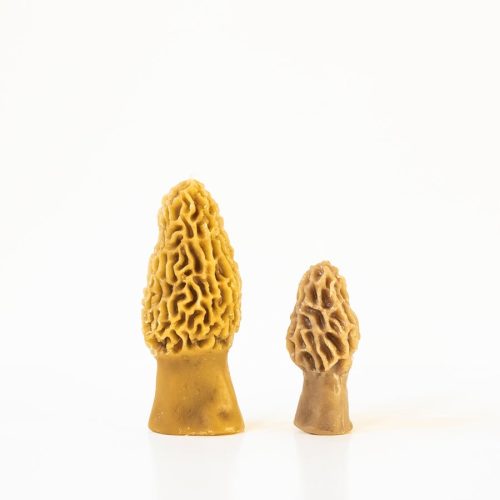 morel mushroom beeswax candle 2 pack 215731