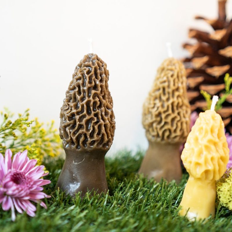 morel mushroom beeswax candle 2 pack 492916