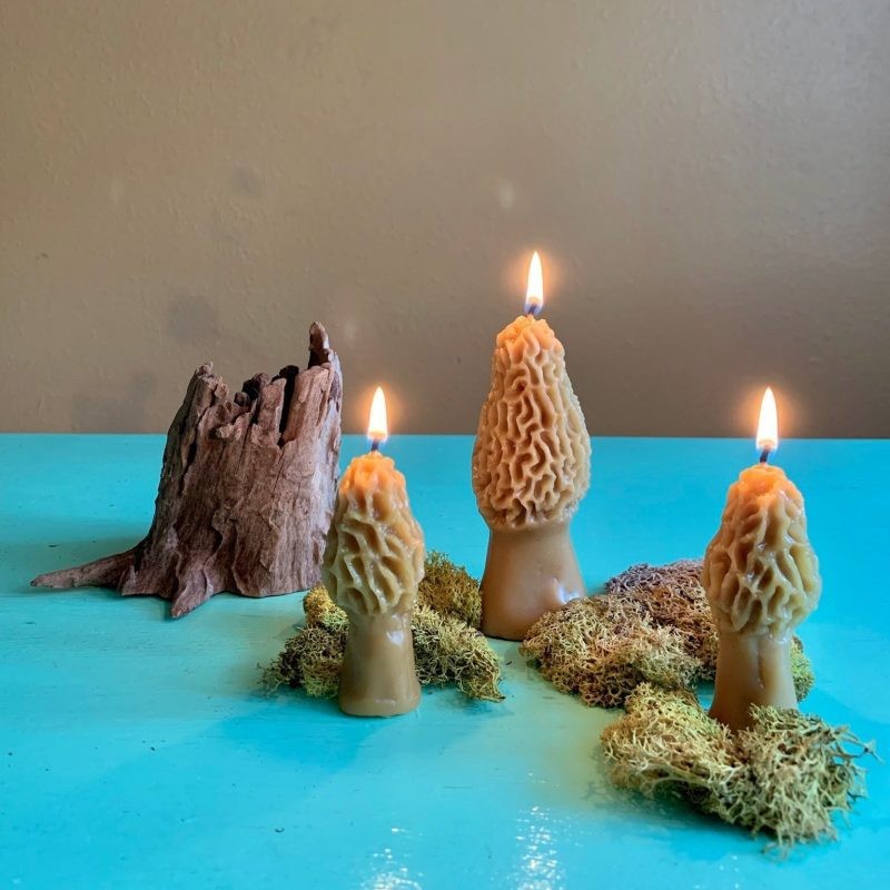 morel mushroom beeswax candle 2 pack 521712