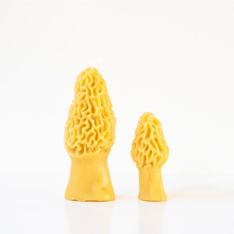 morel mushroom beeswax candle 2 pack 568987