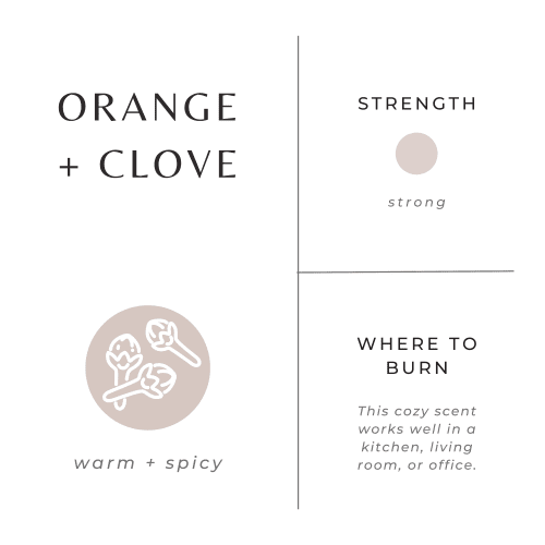 orange clove scent graphic