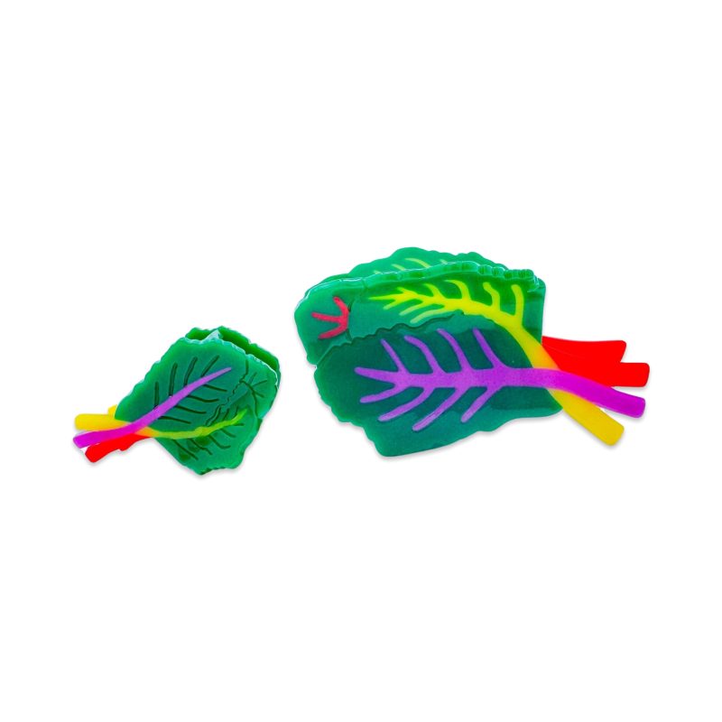 rainbow chard hair claw accessories jenny lemons 672200