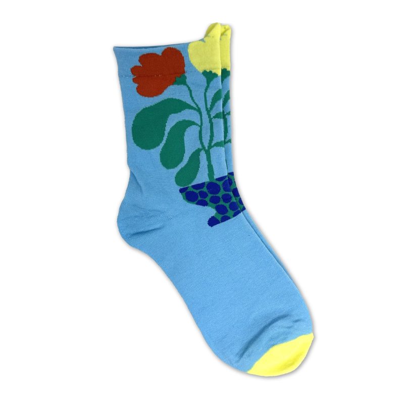 sock Barrymore flower